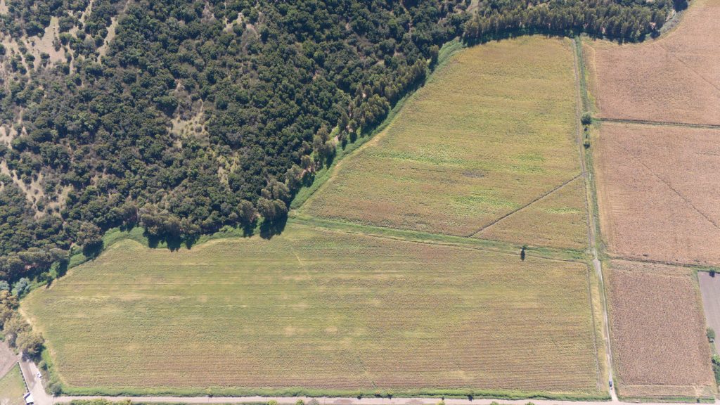 DJI_20260326135244_0014_D