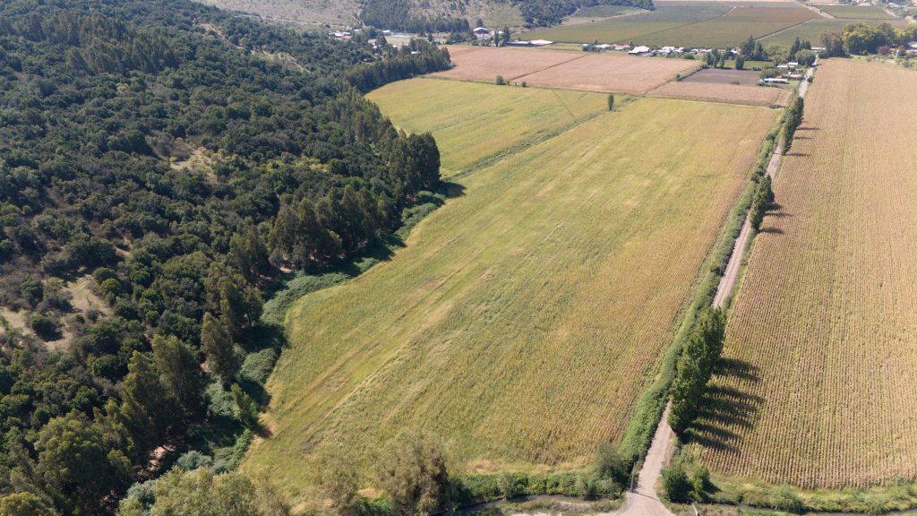 DJI_20260326140217_0019_D
