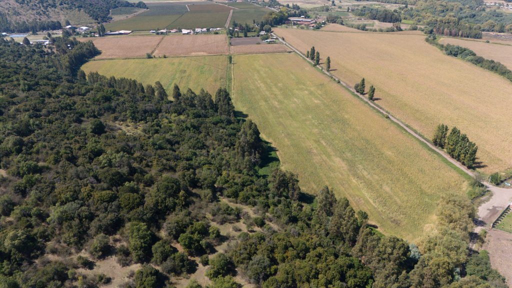 DJI_20260326140247_0020_D