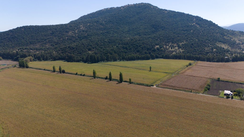 DJI_20260326140553_0024_D